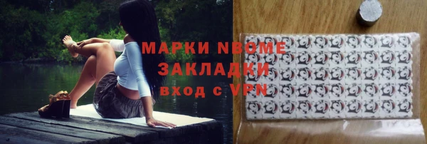 гашик Дмитров