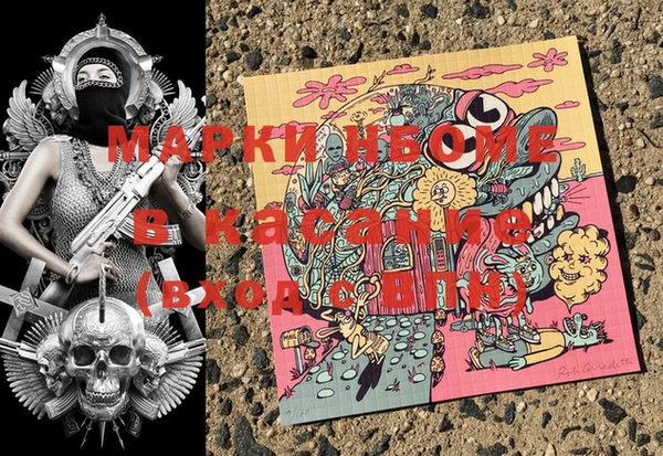 гашик Дмитров