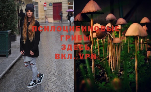 кокаин колумбия Дмитриев