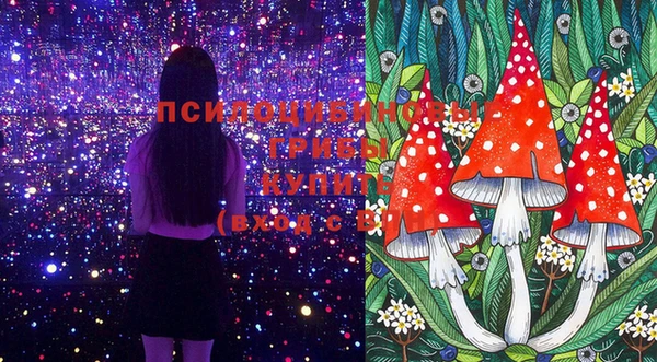 гашишное масло Дмитровск