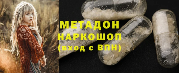 гашик Дмитров