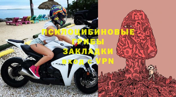гашик Дмитров