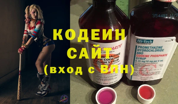 гашик Дмитров