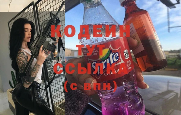 гашик Дмитров