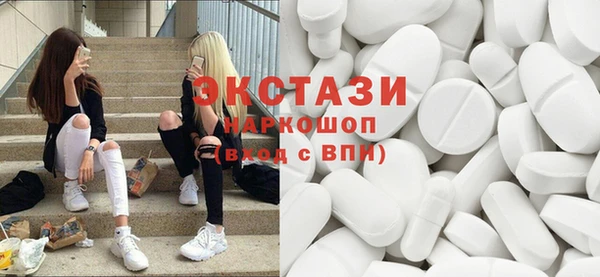 гашик Дмитров