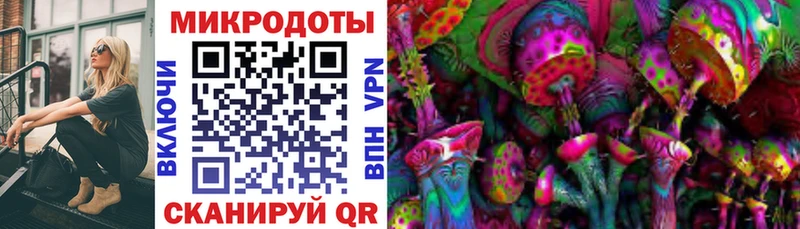 купить наркоту Зеленогорск Галлюциногенные грибы ЛСД